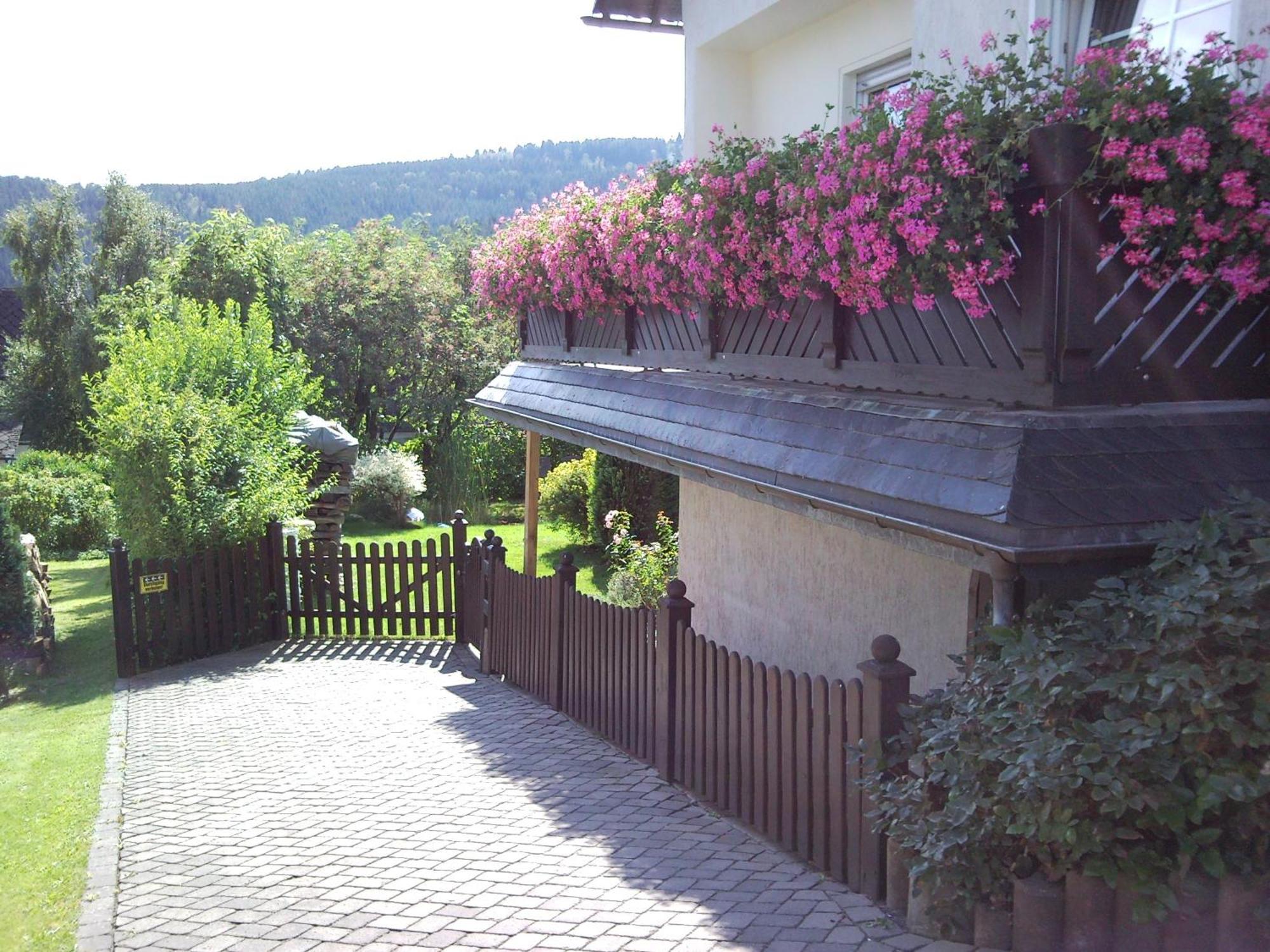 Ferienwohnungen Luge - Winterberg Exterior photo
