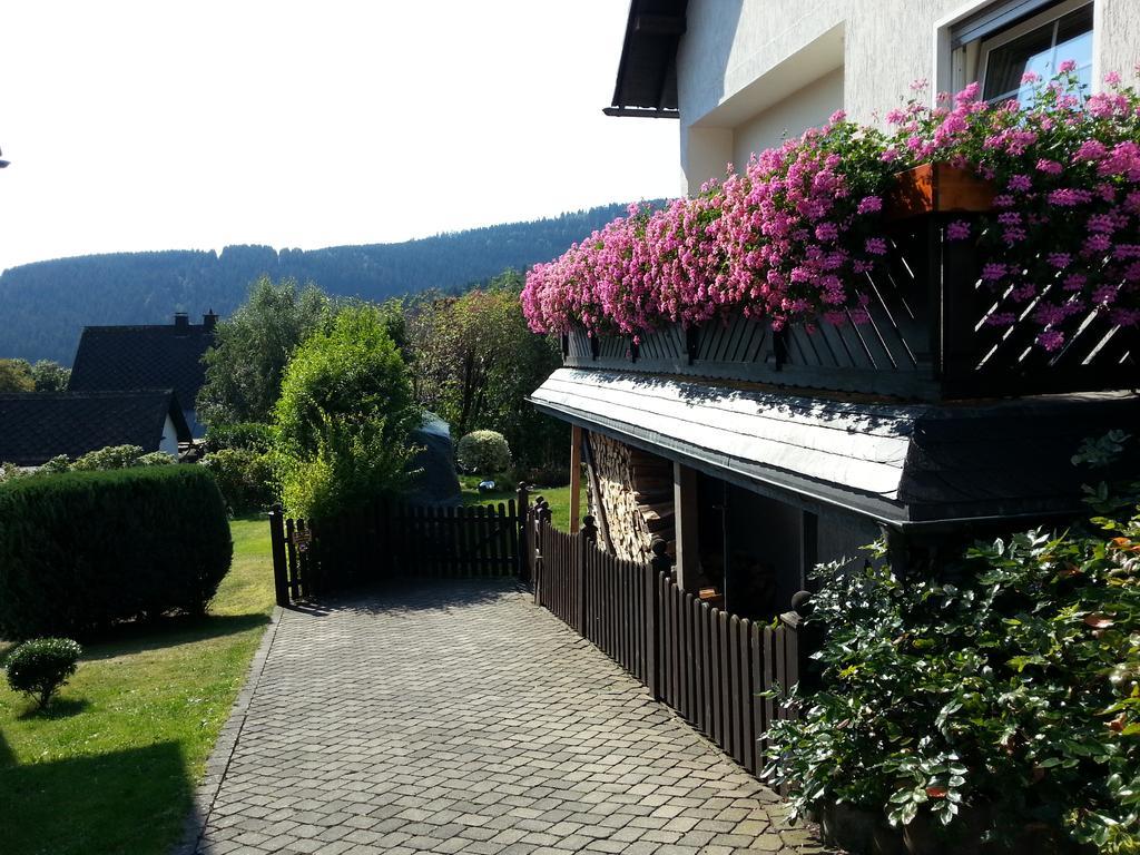 Ferienwohnungen Luge - Winterberg Exterior photo