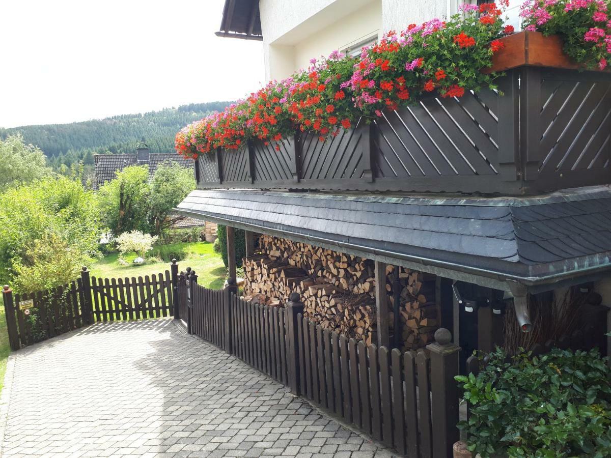 Ferienwohnungen Luge - Winterberg Exterior photo